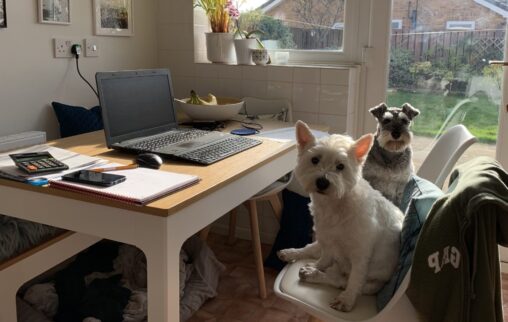 Working from Home